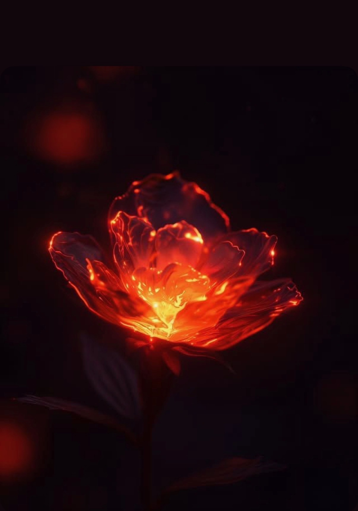 The Aztec Wildflower